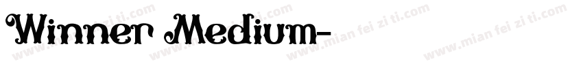 Winner Medium字体转换